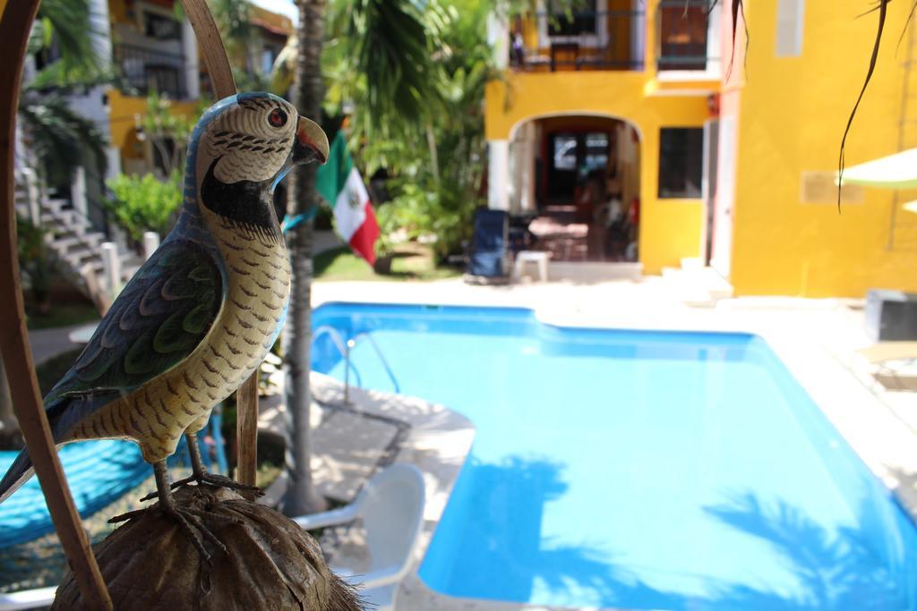 El Acuario Hotel Playa del Carmen Eksteriør bilde