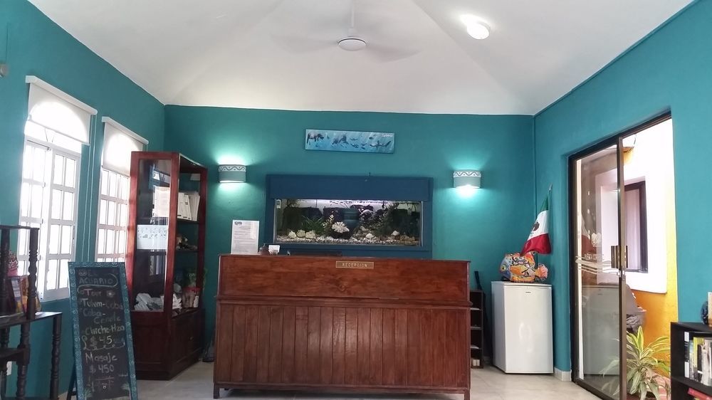 El Acuario Hotel Playa del Carmen Eksteriør bilde